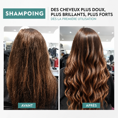 Shampoing Avocat & Aloe Vera